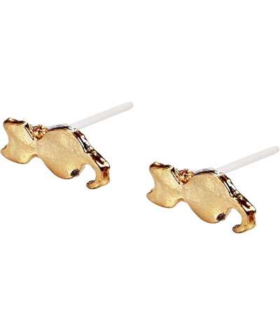 Women's Elegant Gold Cat Resin Plastic Post Earrings Hypoallergenic For Sensitive Ears $11.04 Earrings