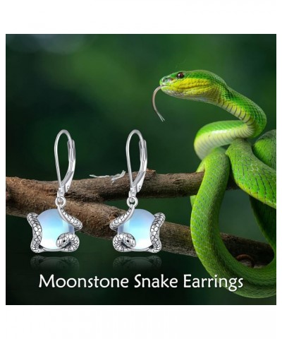 Teardrop Drop Dangle Earrings Sterling Silver Vintage Earrings Jewelry Birthday Gifts for Women Snake $13.50 Earrings