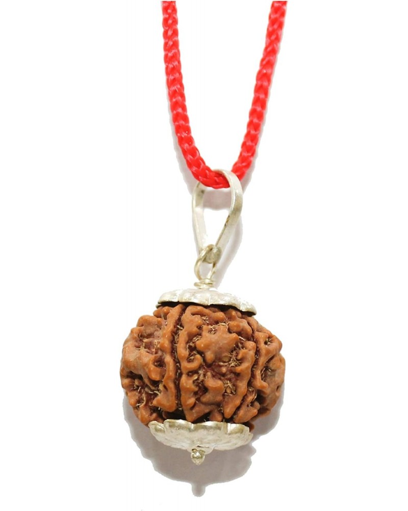 Lab Certified 6 Mukhi Rudraksha (Rudraksh) Silver Pendant $8.39 Necklaces