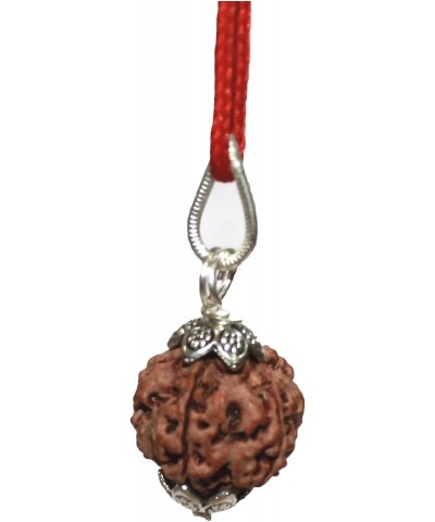 Lab Certified 6 Mukhi Rudraksha (Rudraksh) Silver Pendant $8.39 Necklaces