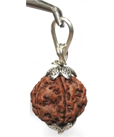 Lab Certified 6 Mukhi Rudraksha (Rudraksh) Silver Pendant $8.39 Necklaces