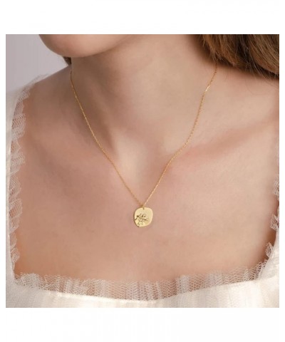 Oval Coin Pendant Necklace 12 Month Birth Flower Disc Necklace 14K Gold Plated Dainty Personalized Gift 11--Nov (Chrysanthemu...