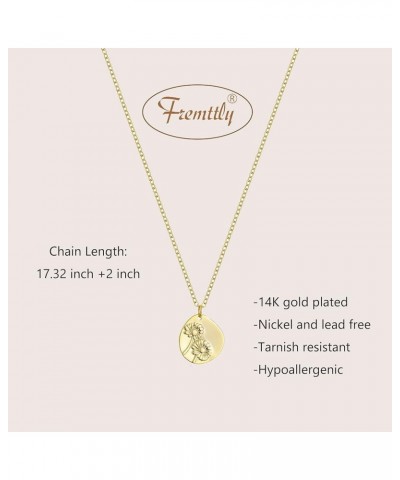 Oval Coin Pendant Necklace 12 Month Birth Flower Disc Necklace 14K Gold Plated Dainty Personalized Gift 11--Nov (Chrysanthemu...