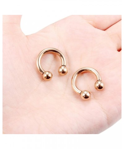 2Pcs PA Ring Horseshoe Circular Barbell 316L Surgical Steel Internally Threaded Large Septum Ring Ear Gauges Earrings 2G 4G 6...