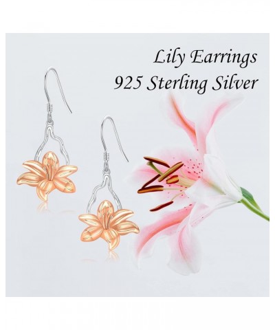 Scottish Thistle/Daffodil/Lily/Pressed Flower Earrings Sterling Silver Flower Dangle Earrings Jewelry Gifts for Women Lily $1...