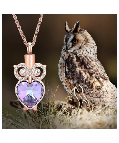 Moon Owl Urn Necklace for Ashes Owl Crystal Pendant Necklace Cremation Jewelry for Ashes Memorial Ashes Keepsake Necklace for...